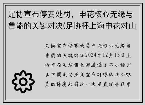 足协宣布停赛处罚，申花核心无缘与鲁能的关键对决(足协杯上海申花对山东鲁能)