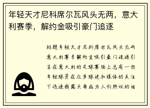 年轻天才尼科席尔瓦风头无两，意大利赛季，解约金吸引豪门追逐